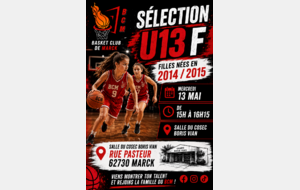 6a00470953eff_selectionu13f.png